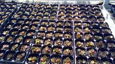 WIN_20220419_13_36_25_Pro