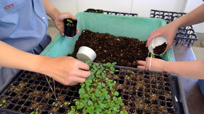 WIN_20220518_11_38_28_Pro