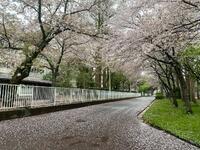 saved_file_1712564267769