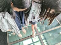 PXL_20241111_032306957