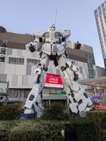 PXL_20241111_073159975