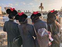 PXL_20241112_060454685.MP