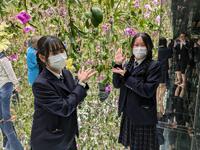 PXL_20241114_005016638