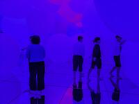 PXL_20241114_004109459