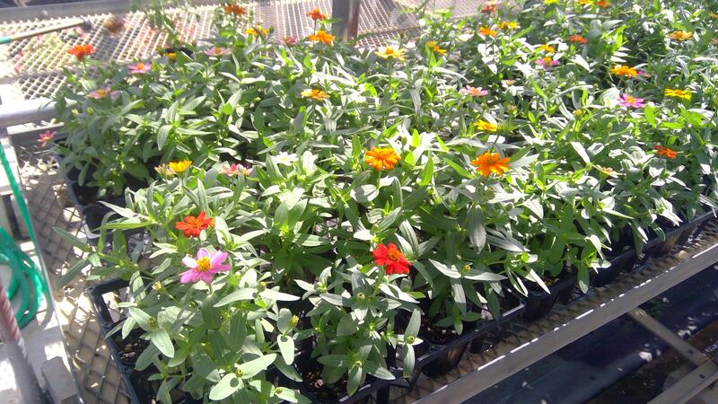 WIN_20231002_10_57_17_Pro