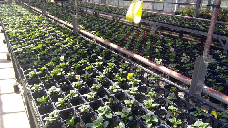 WIN_20231002_10_57_27_Pro