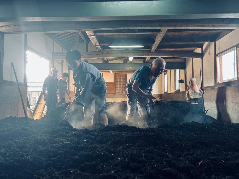 IMG_4874_202411051421020