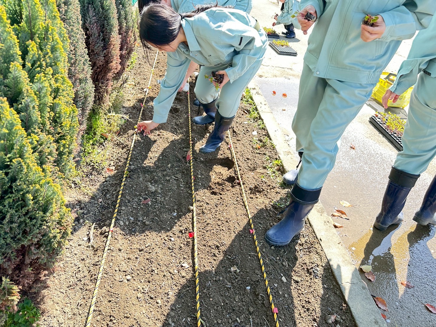 IMG_7220_202504180946017