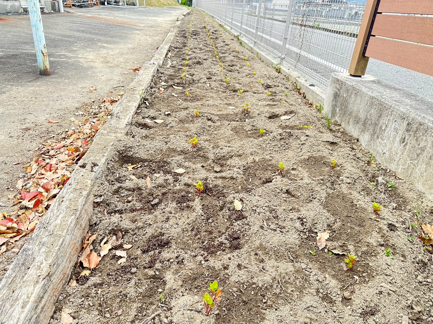 IMG_7209_202504180946010