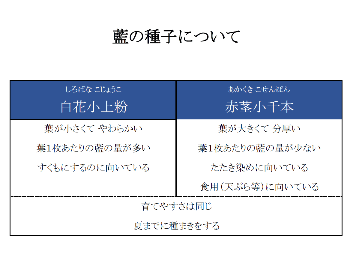 スクリーンショット 2025-05-20 164432