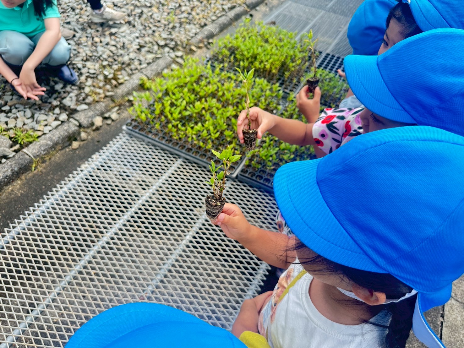 IMG_7732_202506051329003