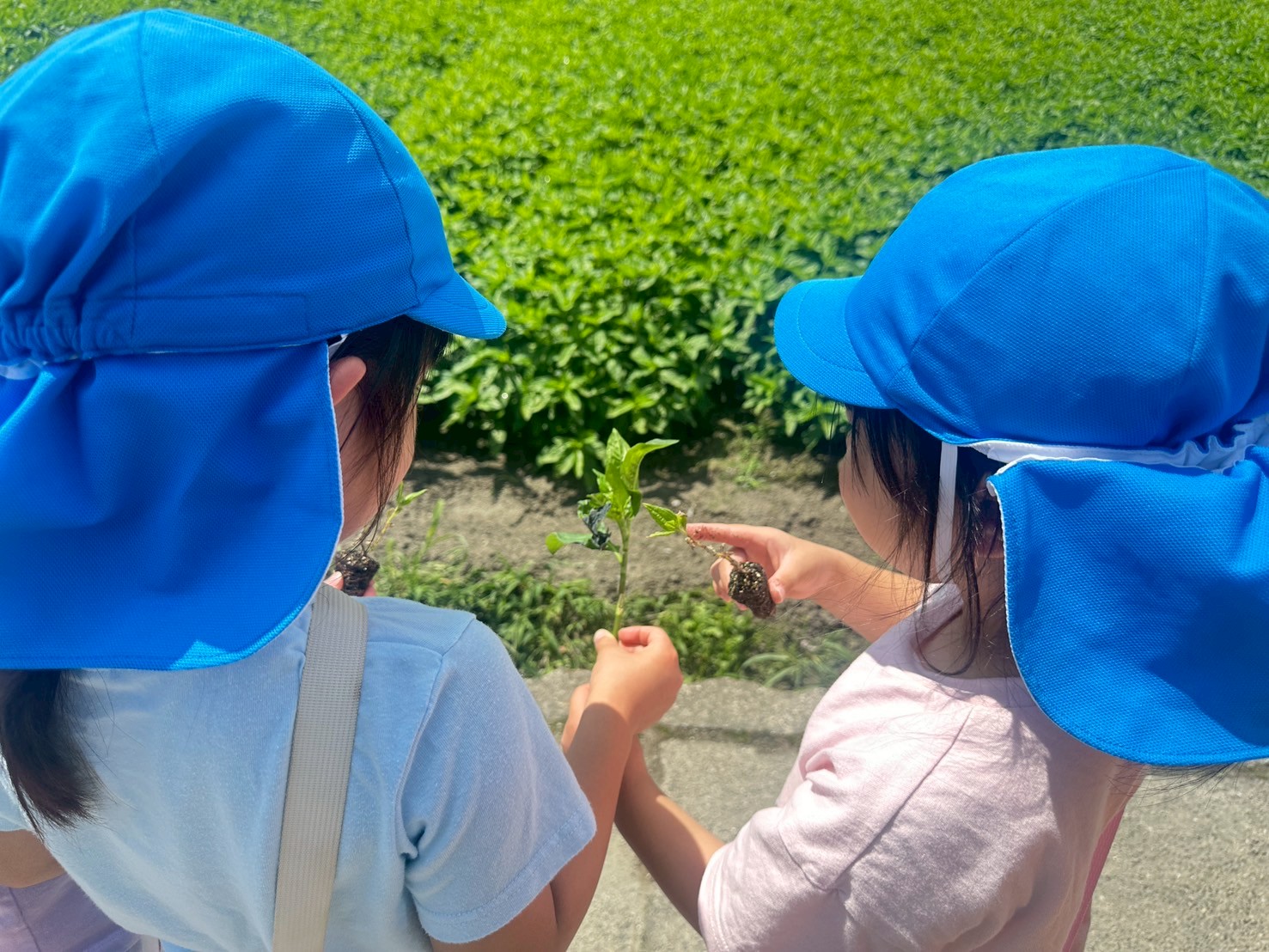 IMG_7751_202506051329013