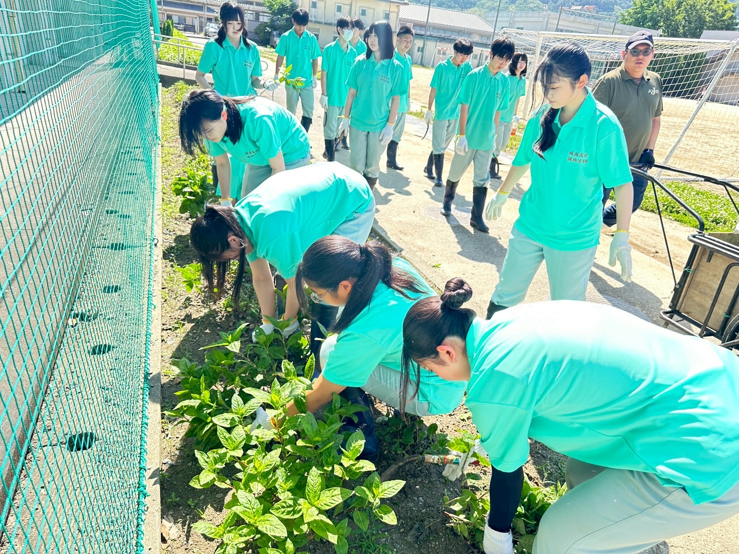 IMG_7788_202506051331009