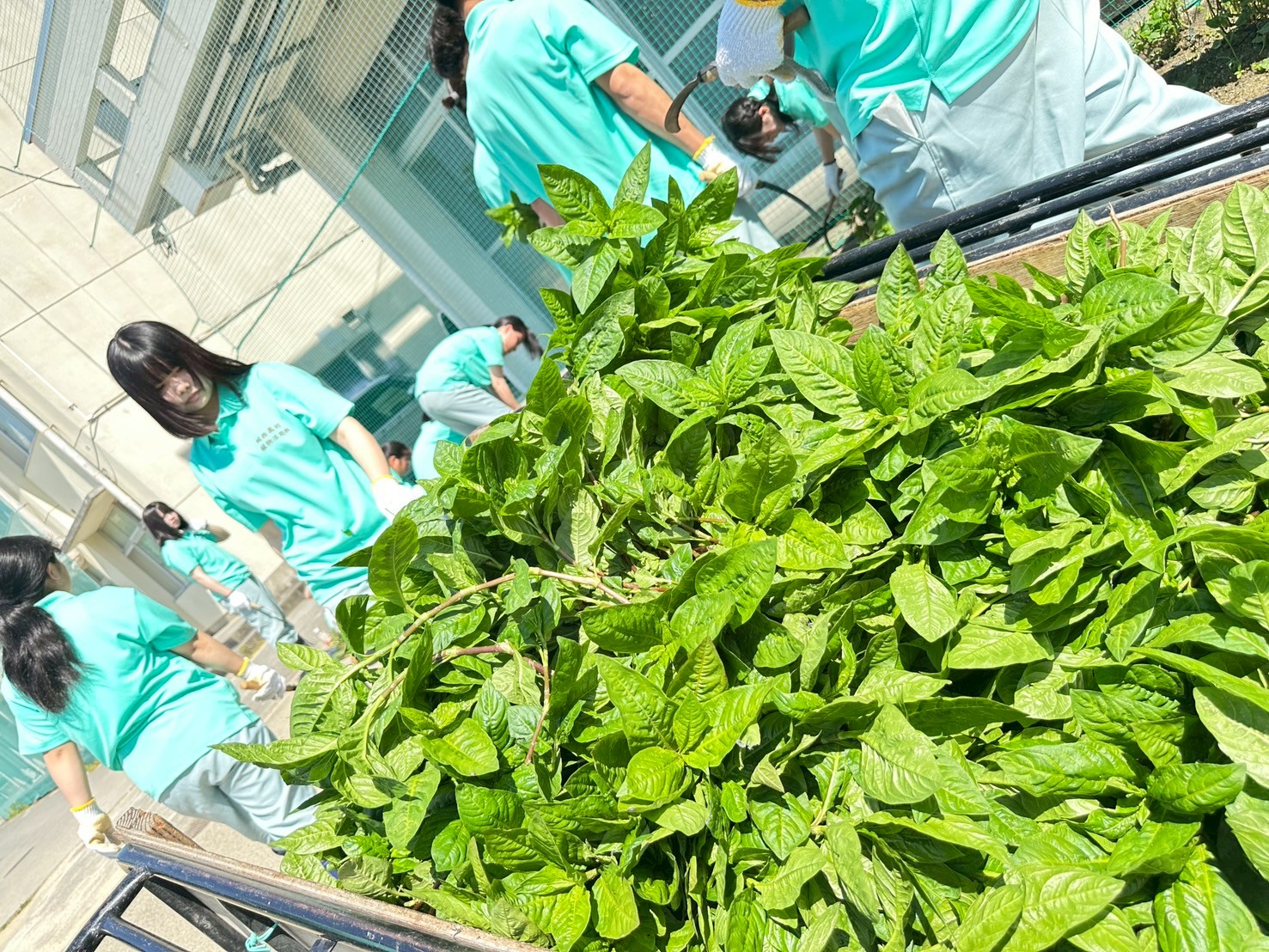 IMG_7797_202506051331014