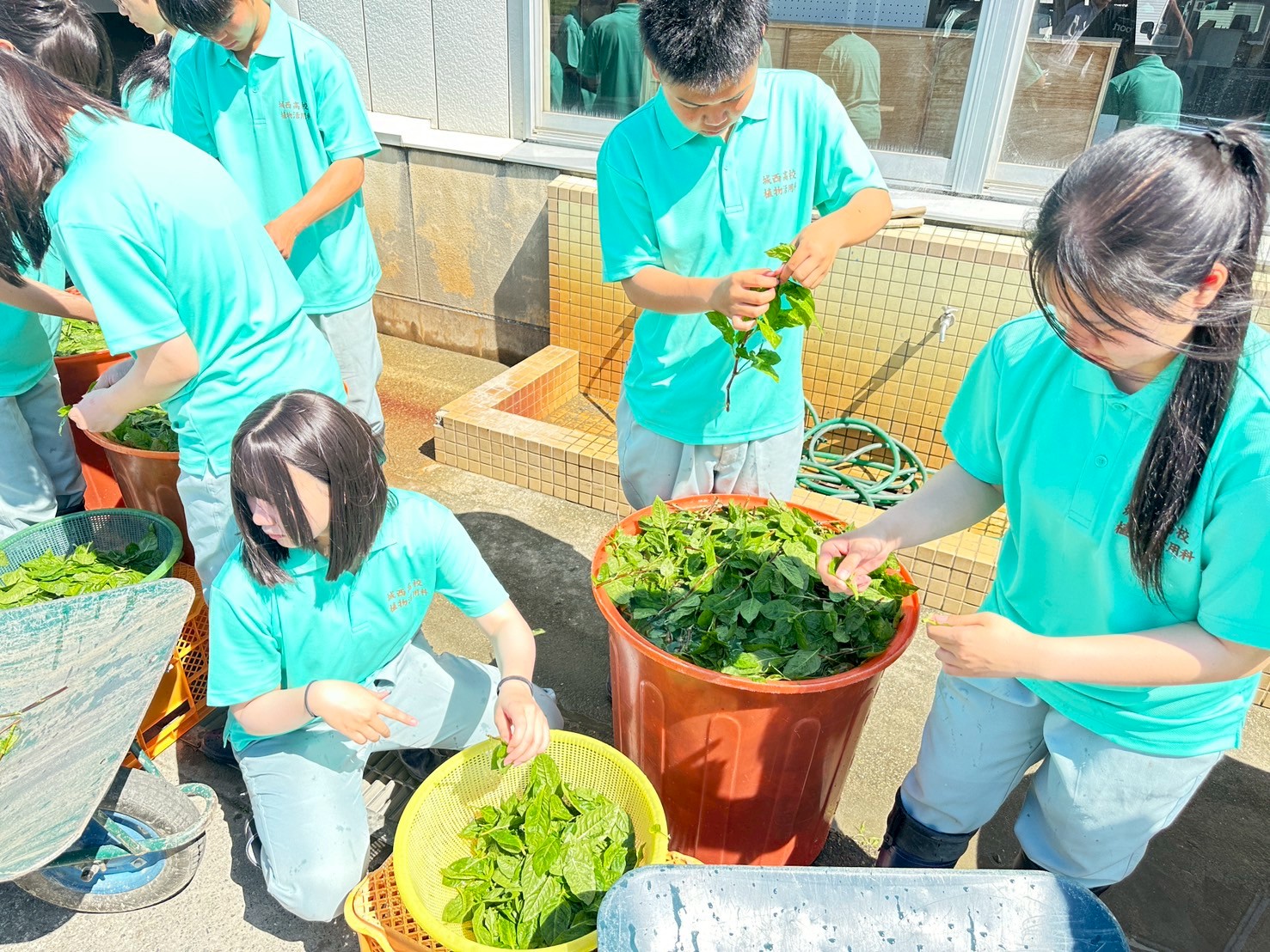 IMG_7823_202506051331023