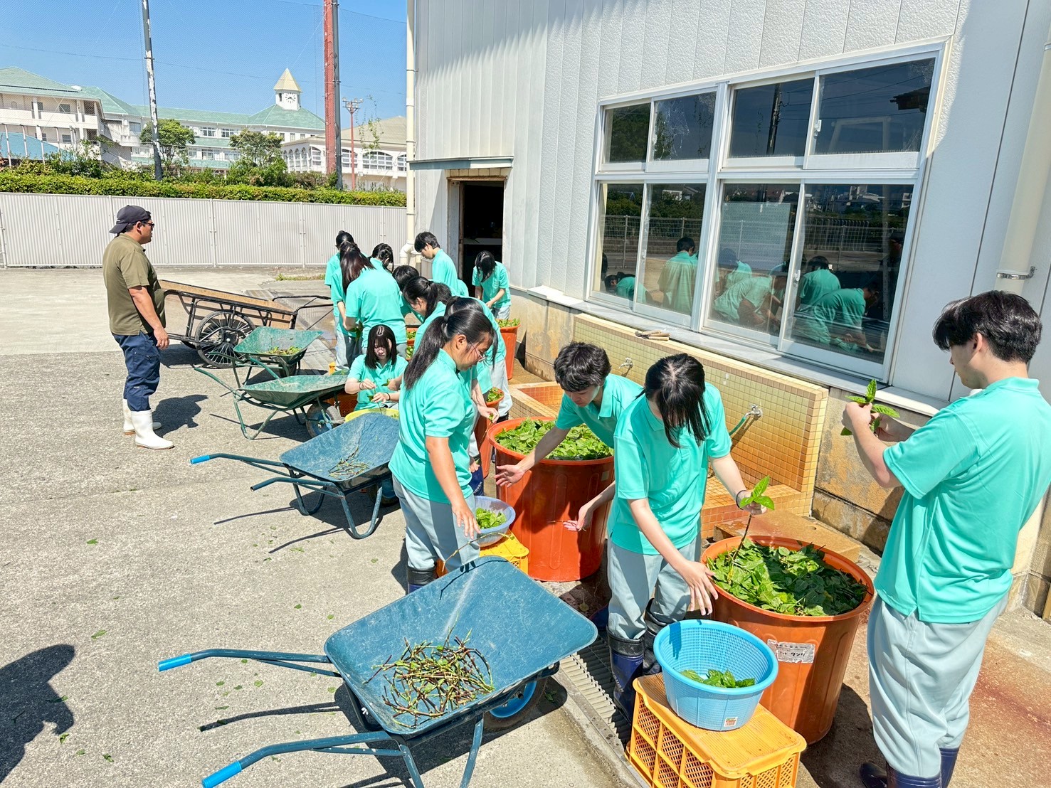 IMG_7827_202506051331024