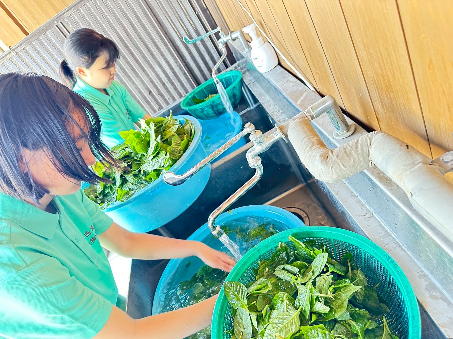 IMG_7834_202506051331027