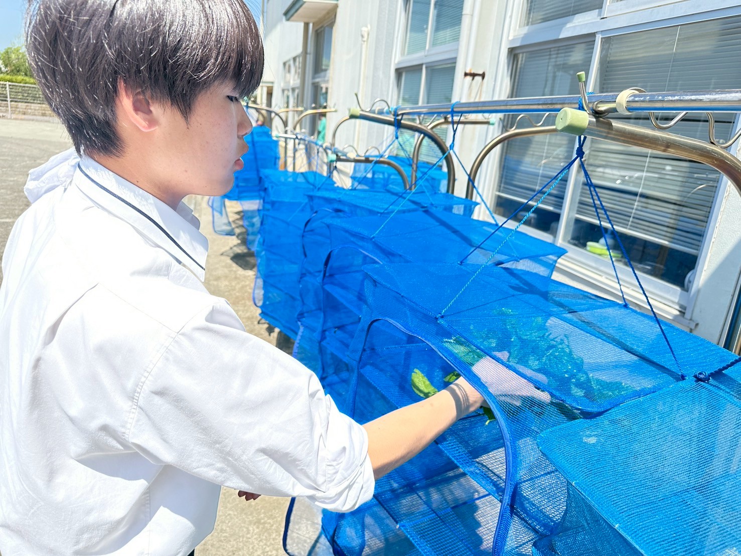 IMG_7840_202506051331028