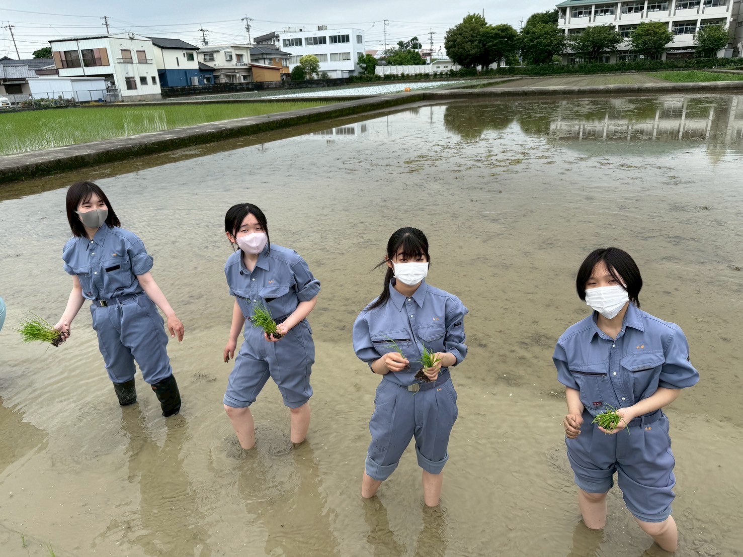 IMG_7905_202506111706029