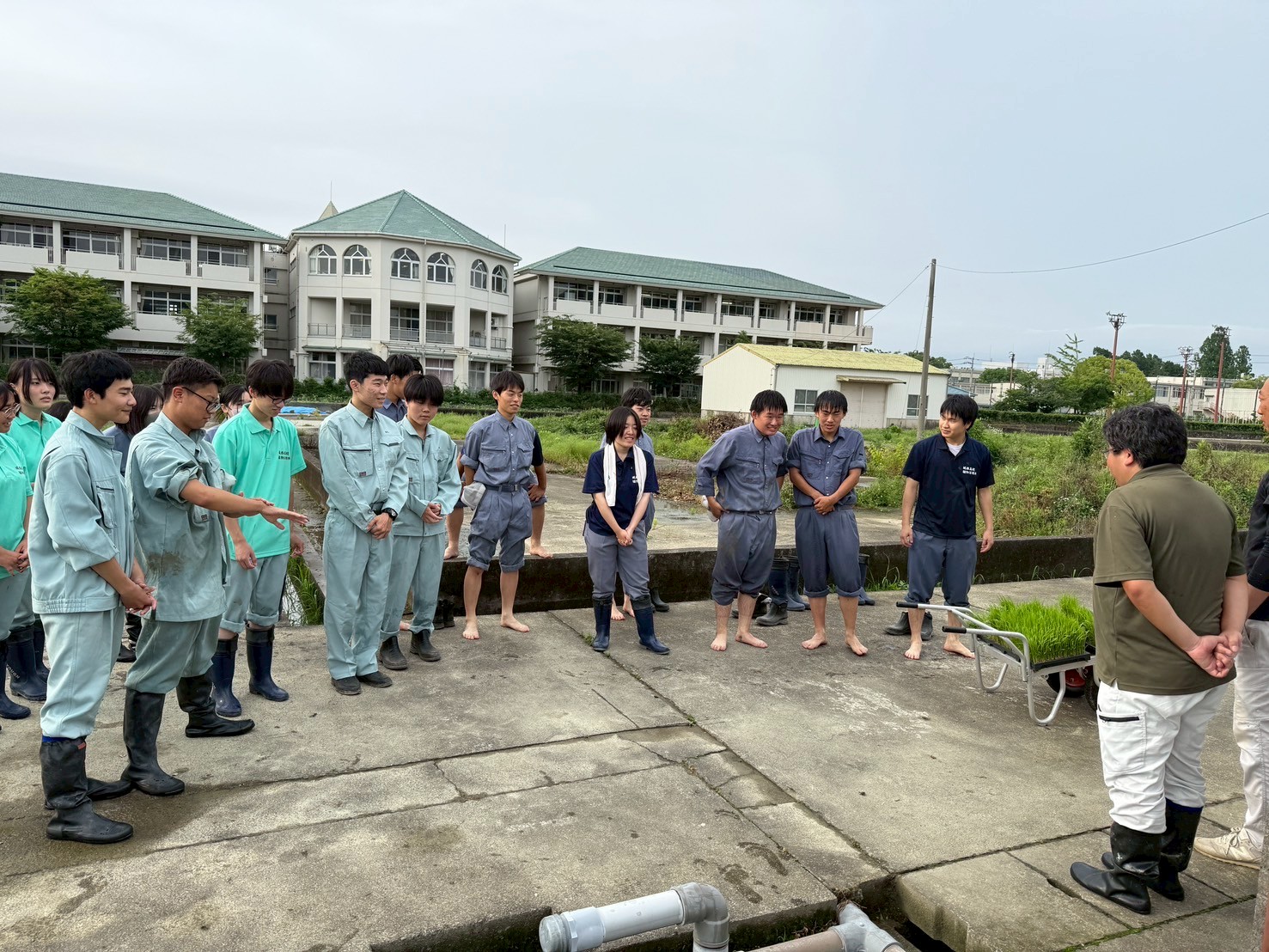 IMG_7913_202506111706032