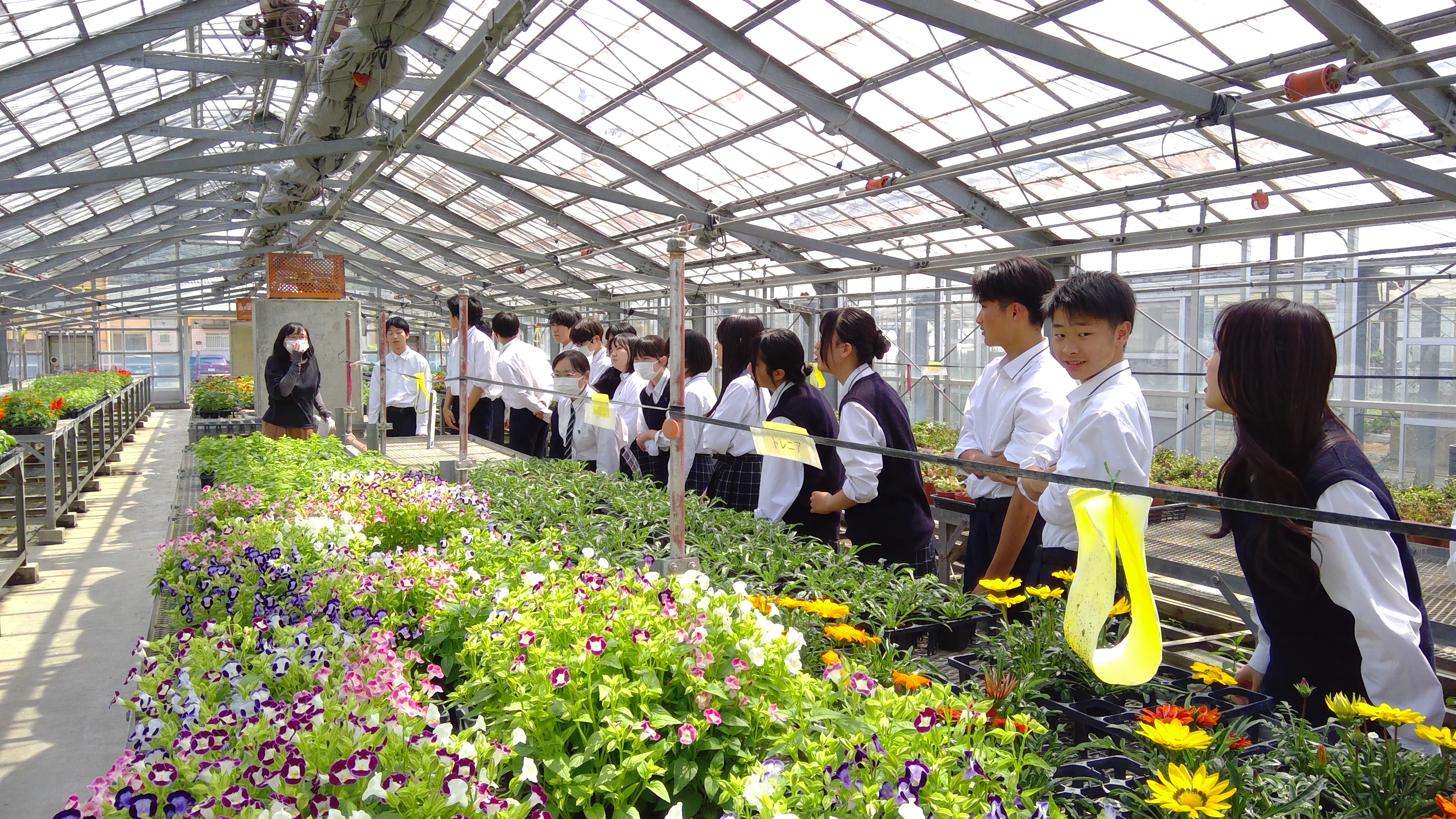 WIN_20250528_13_35_03_Pro