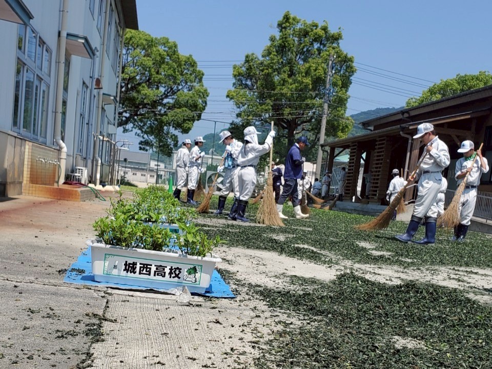 IMG_8724_202506301903038