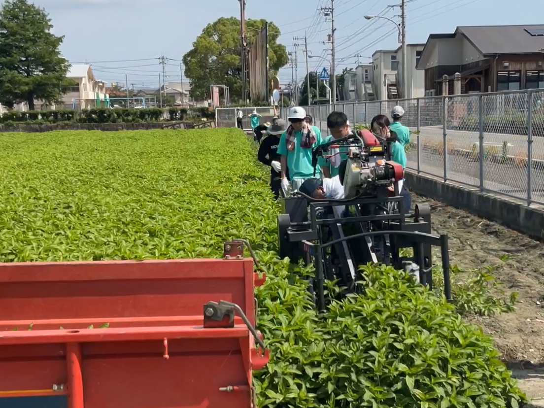 スクリーンショット 2025-07-10 081612