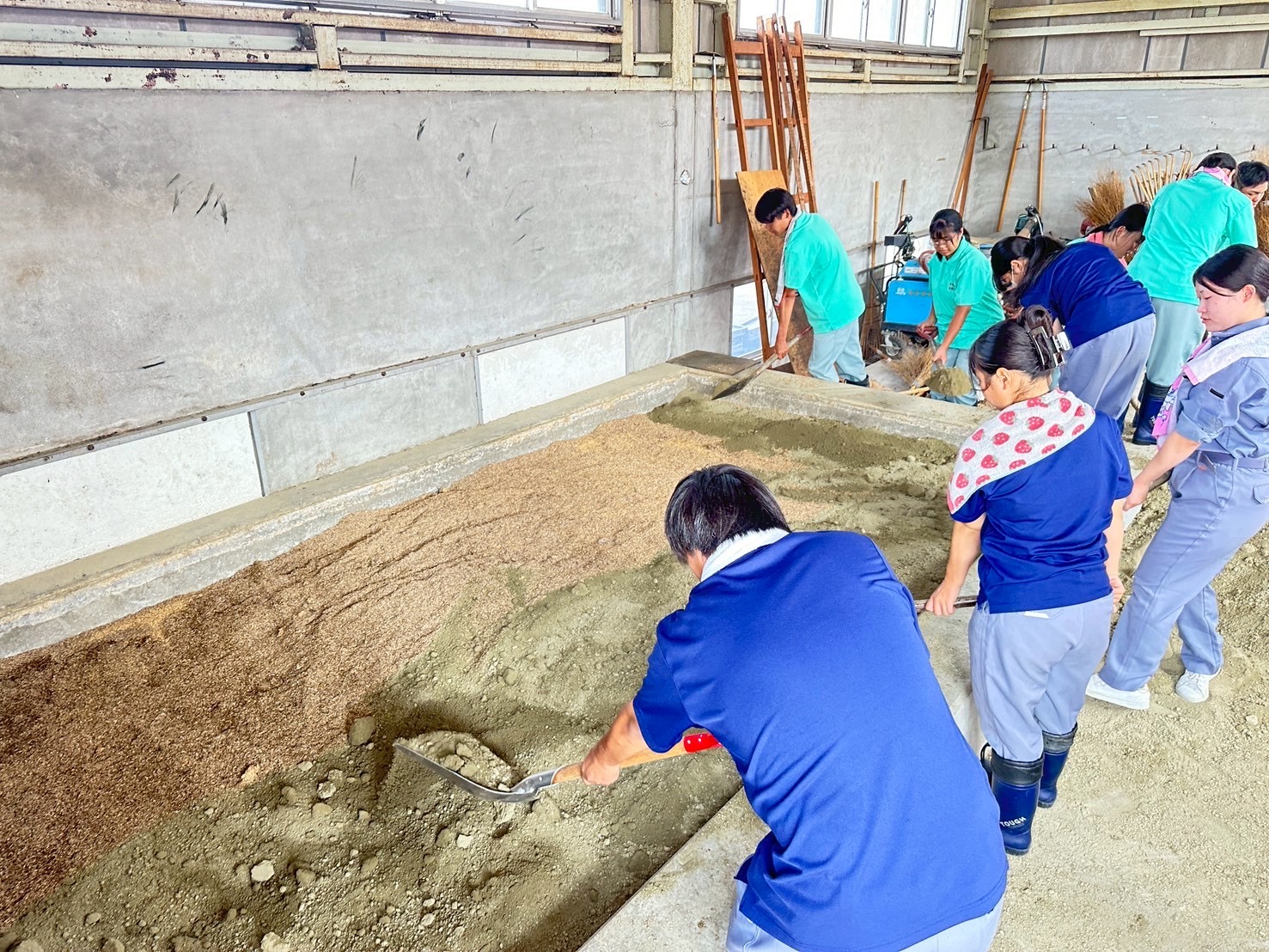 IMG_9245_202508271528013