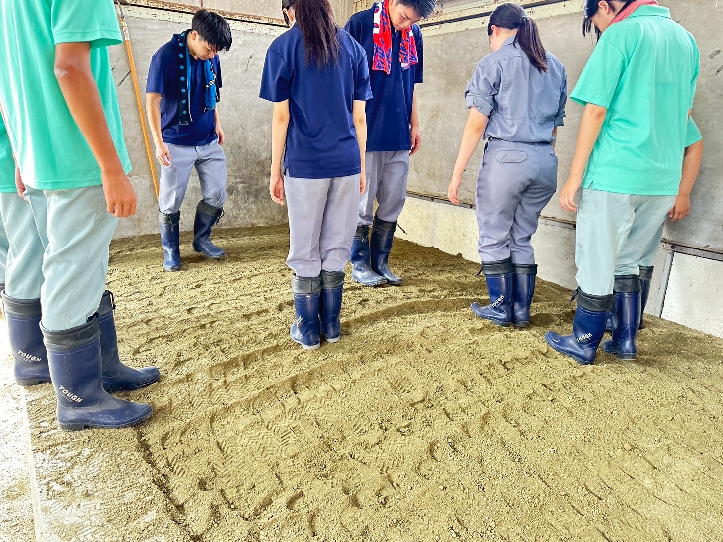 IMG_9253_202508271528016