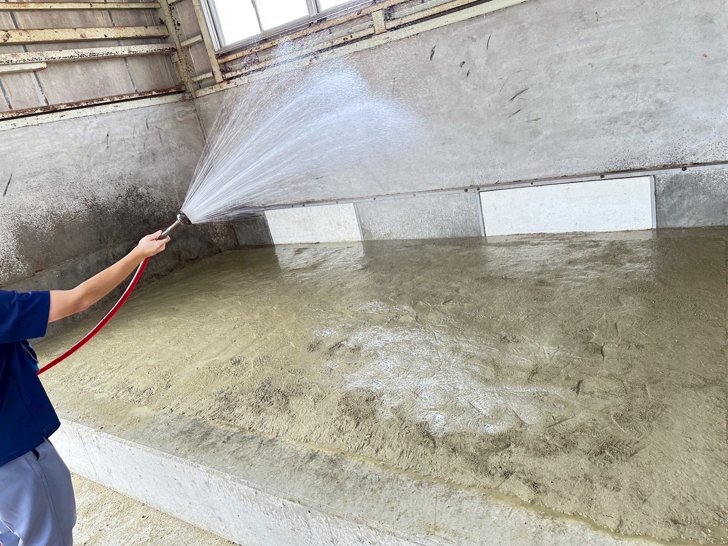 IMG_9256_202508271528018