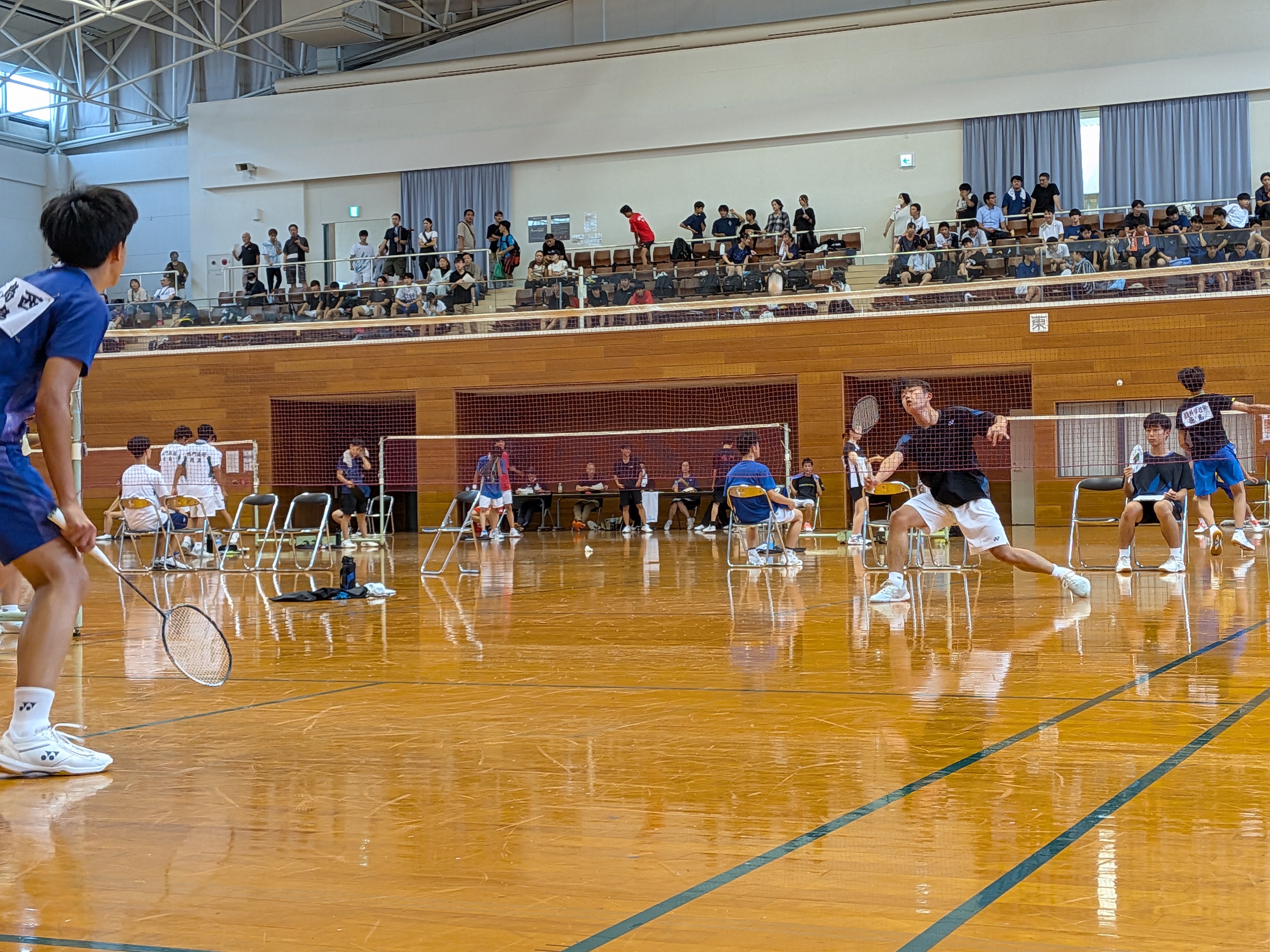 PXL_20250907_023616629.MP