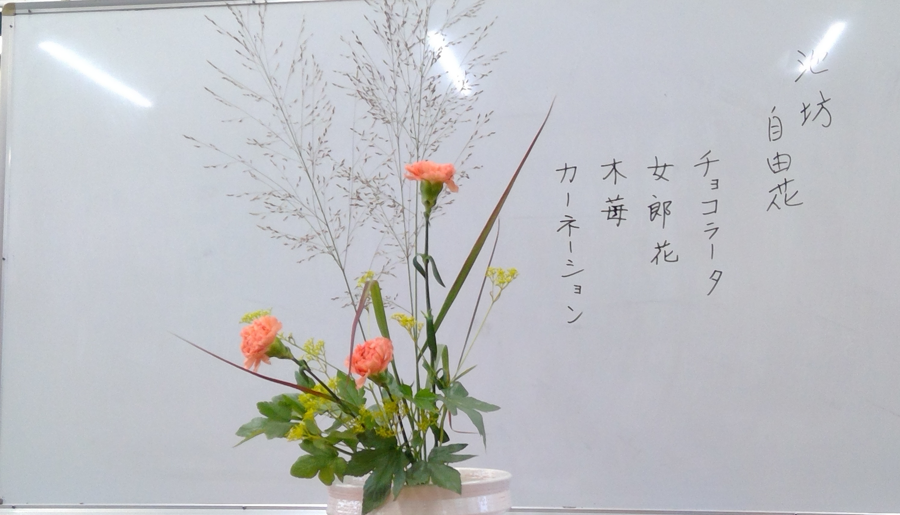 WIN_20250918_16_18_20_Procopi