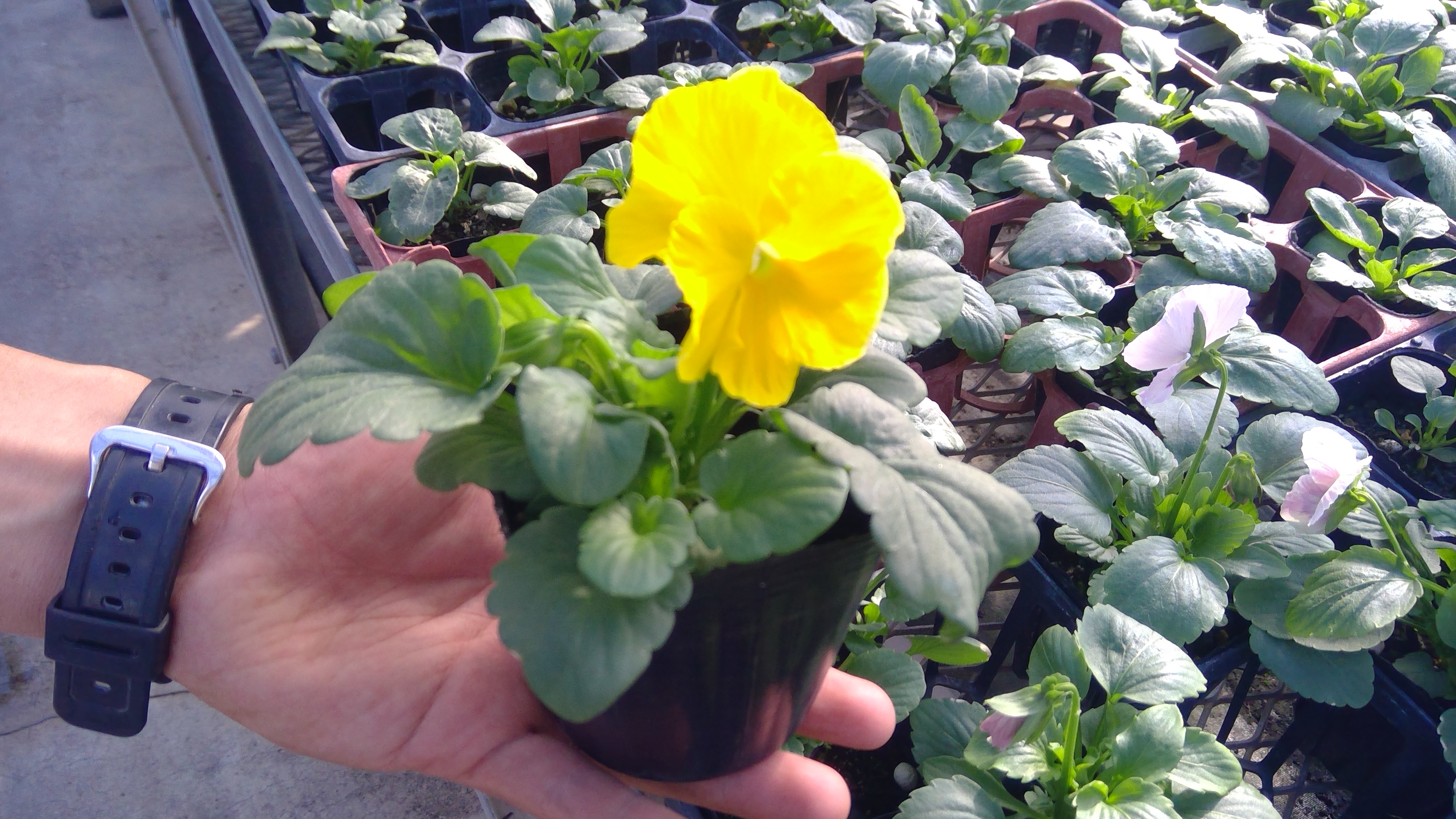 WIN_20221013_14_58_06_Pro