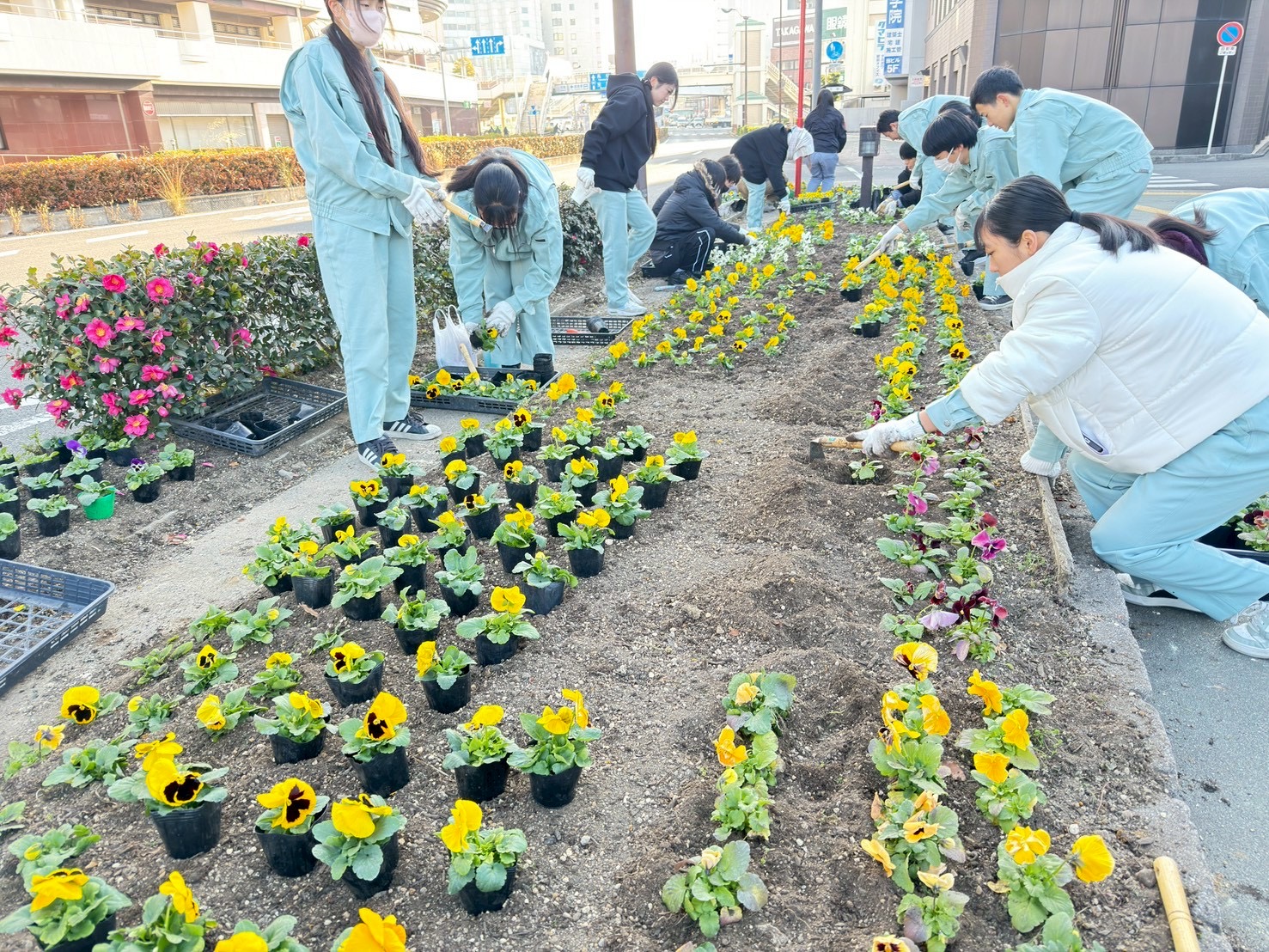 IMG_3790_202601201028057