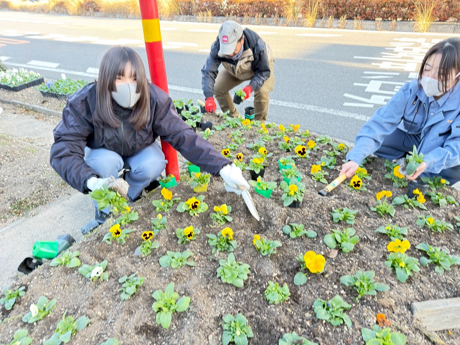 IMG_3792_202601201028058