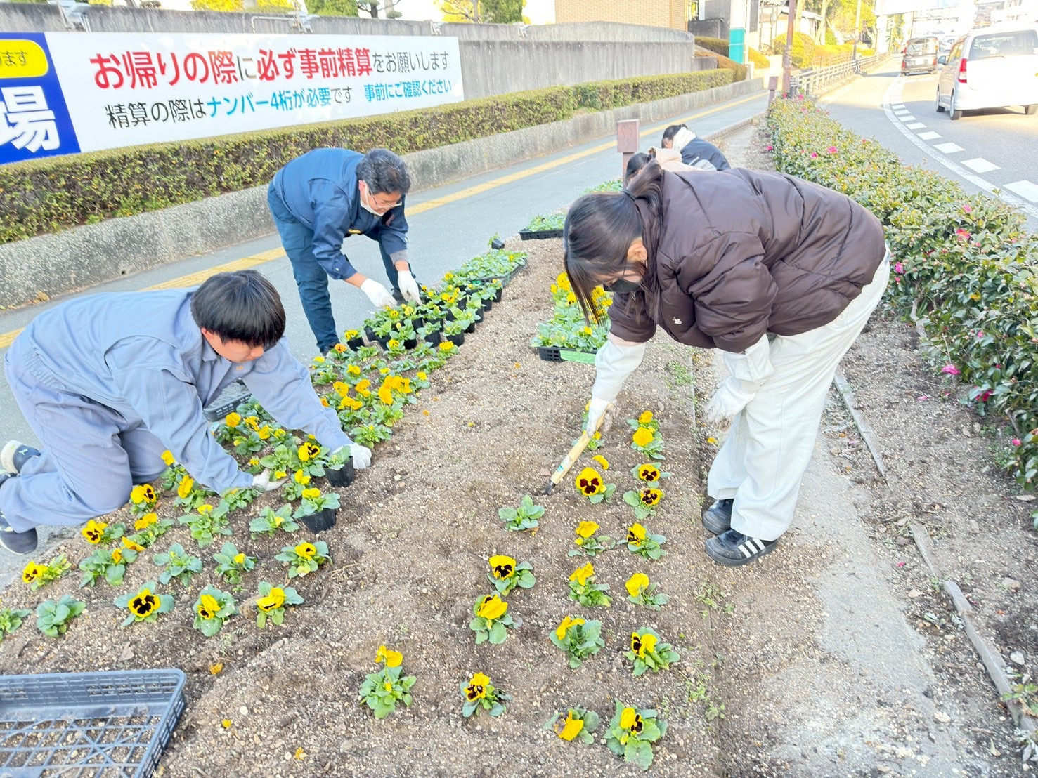 IMG_3795_202601201029000