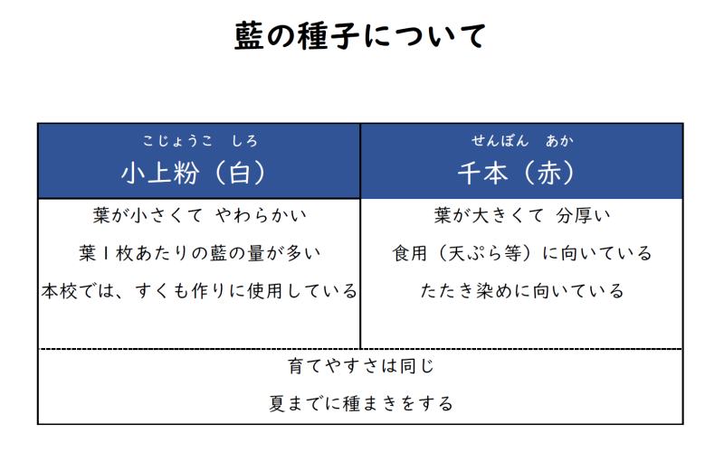 スクリーンショット 2026-02-05 163255