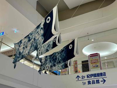 IMG_0881_000504061949044