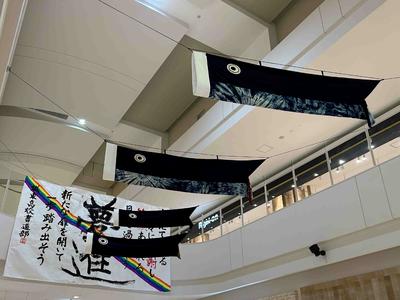 IMG_0882_000504061949051