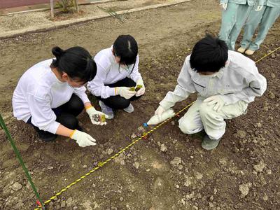 IMG_0911_000504191604034