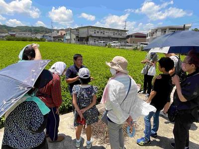 IMG_2654_202308021127022