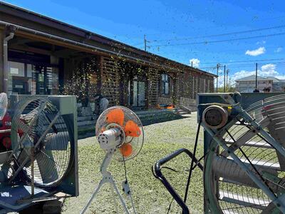 IMG_1387_000508291334013