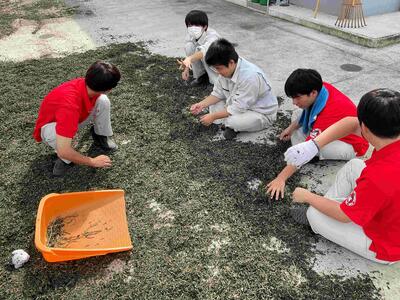 IMG_2721_202309150929026