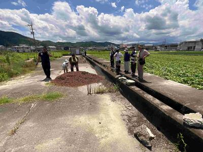 IMG_4605_202407271200043