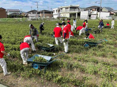 IMG_4110_202409190927042