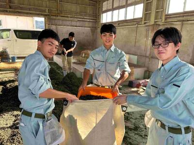 IMG_4154_202409251548014