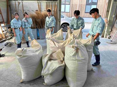 IMG_4156_202409251604008