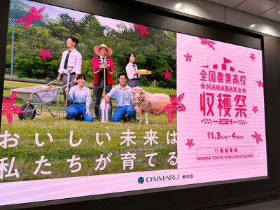 IMG_4752_202411021815006