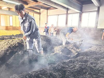 IMG_4816_202411050840042