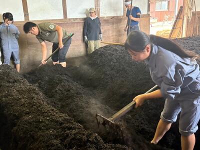 IMG_4846_202411051421010